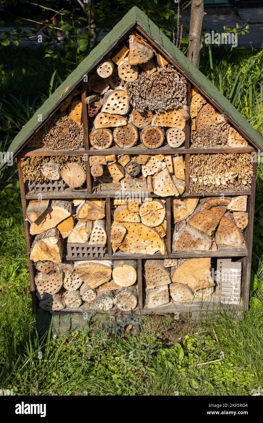 An insect hotel in a meadow Stock Photo