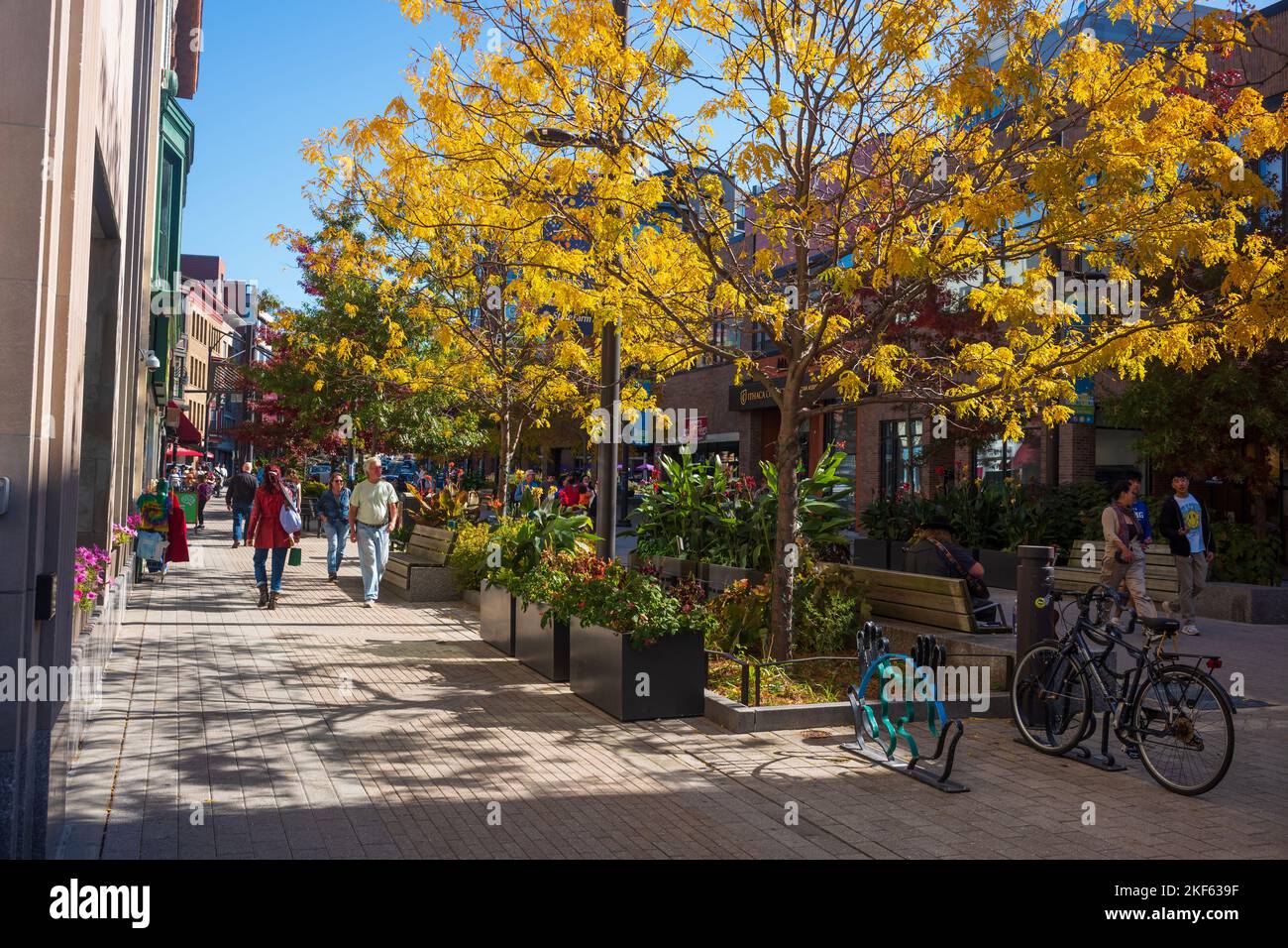 Ithaca, NY, USA - Oct 24, 2022: The Downtown Ithaca Commons, seen here during the autumn season, is a four-block, pedestrian-only home to unique store Stock Photo