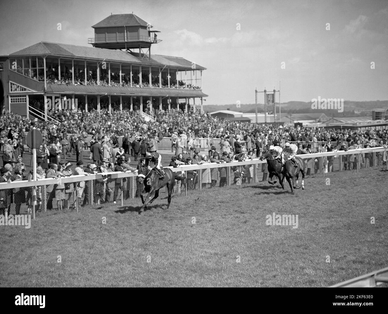 Martinmas, Philip Waldron up, wins comfortably from Sharpen Up, Lester ...