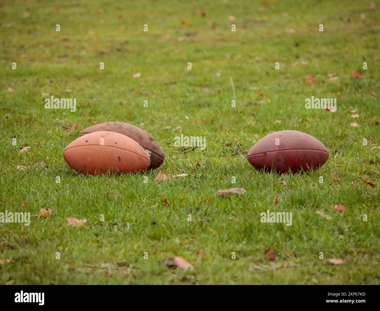 A closeup of the three leather rugby balls lying on the green field ...