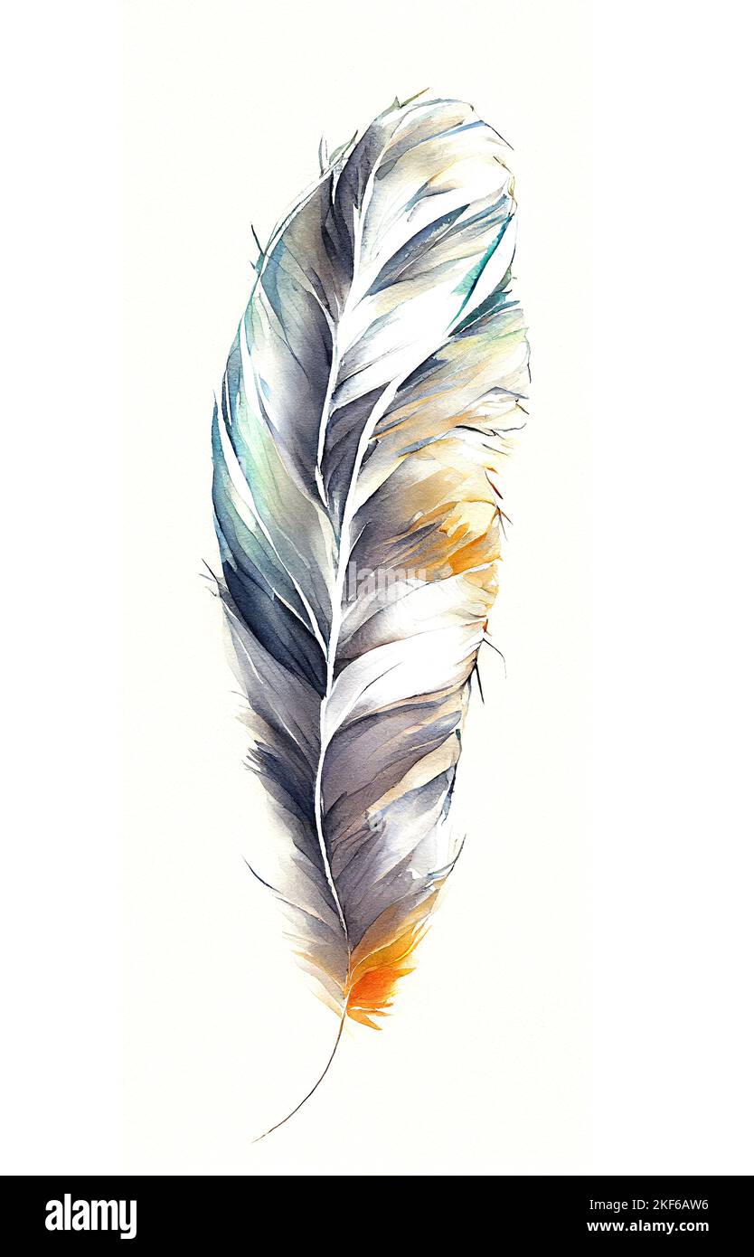 Illustration of Feather in Watercolor Painting Style for wedding stationary, greetings, wallpapers, fashion, background. Stock Photo