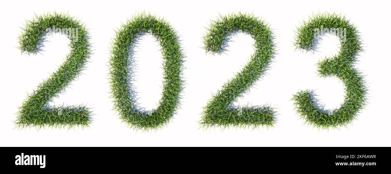 Concept or conceptual green summer lawn grass formingg the 2023