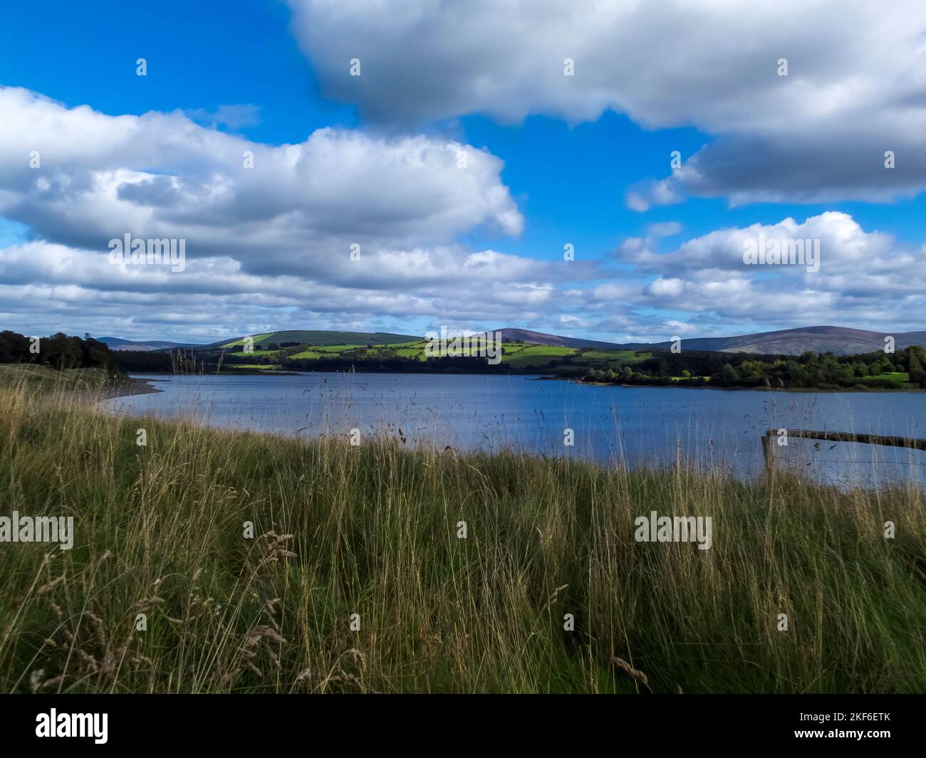 Poulaphouca Reservoir is an area of recreation and wild bird conservation in County Wicklow near