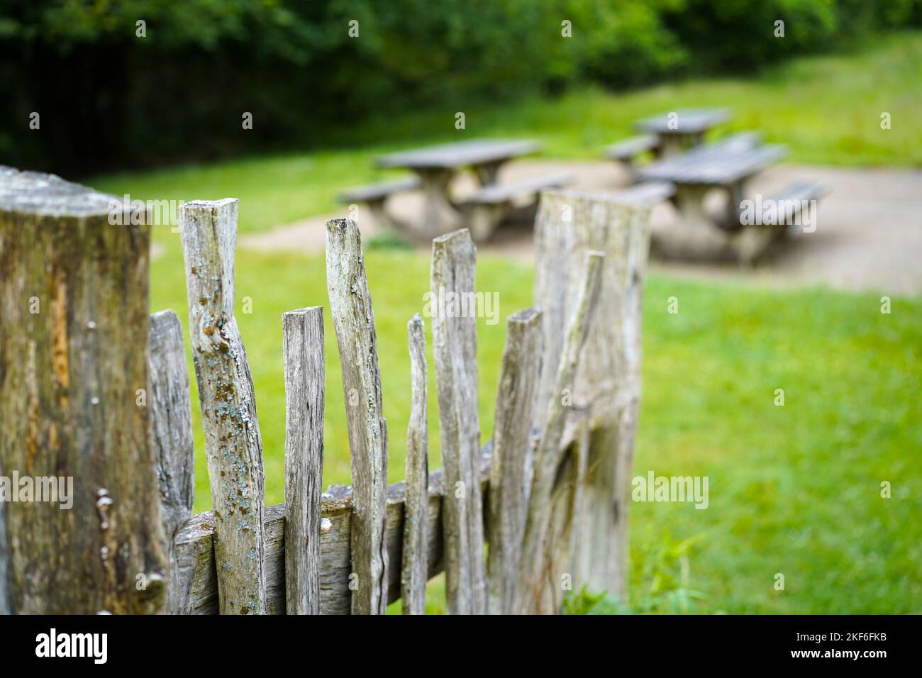 Close up of rustic, handmade wooden picket fence in UK country park leading to empty picnic benches. Stock Photo