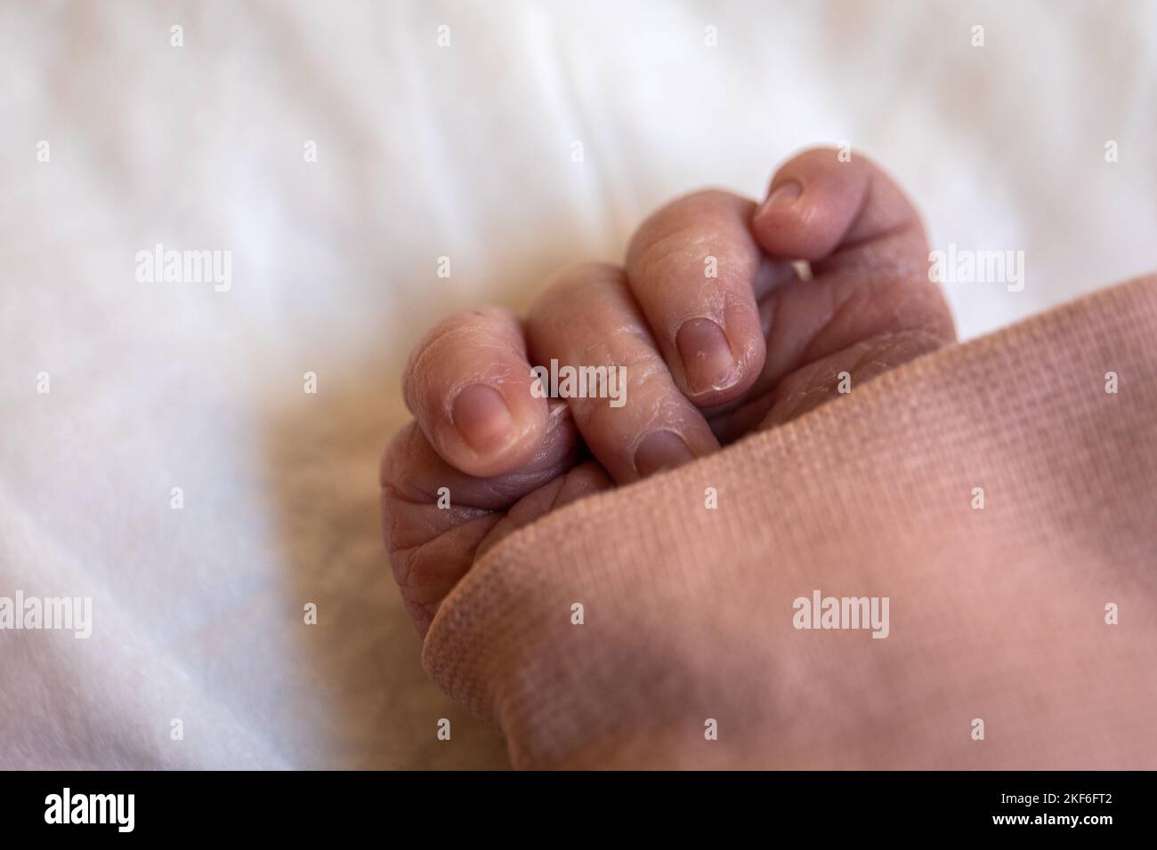 Newborn's hand. Small fingers and nails, peeling skin. Stock Photo