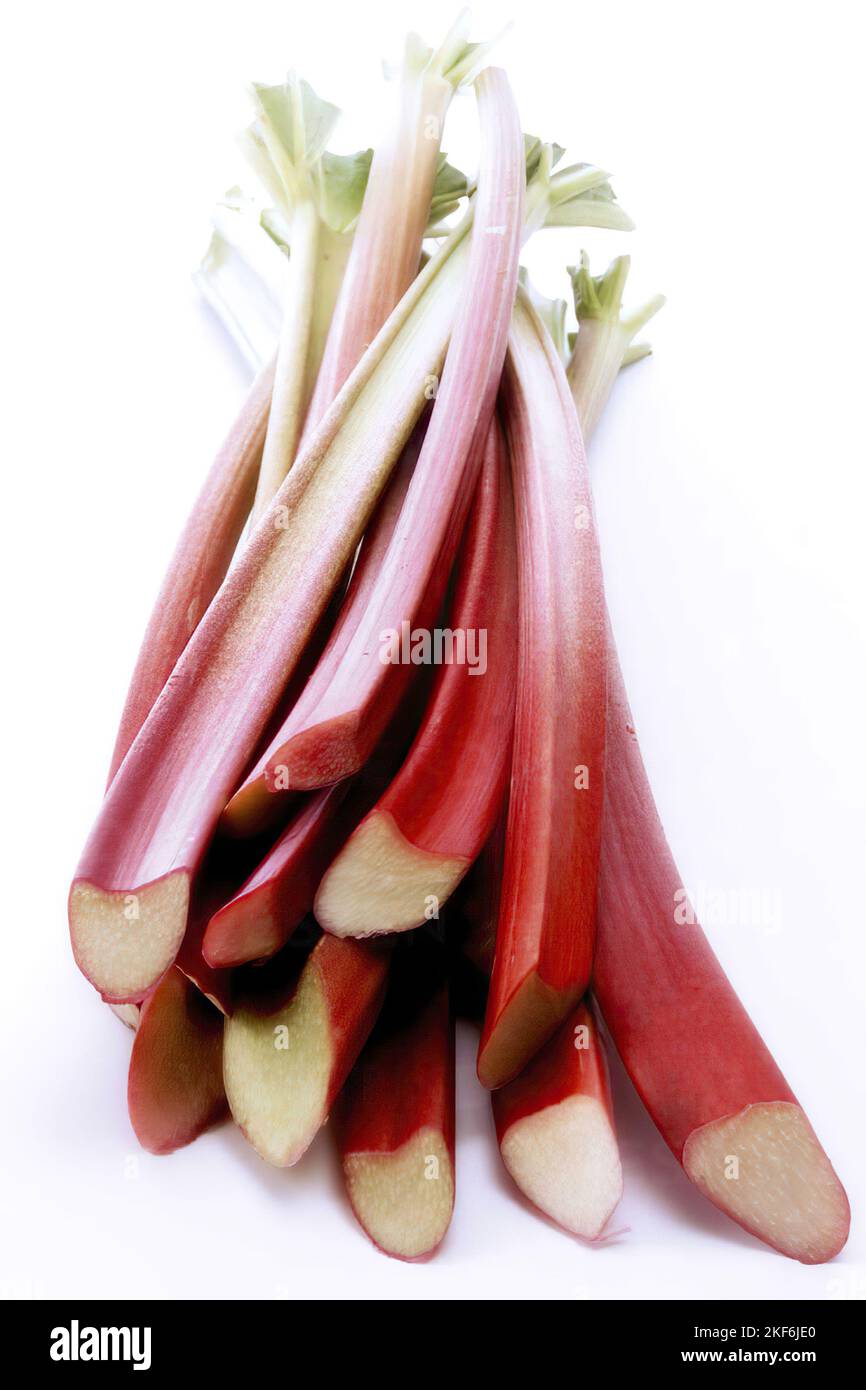 Rhubarb (Rheum officinale) Stock Photo
