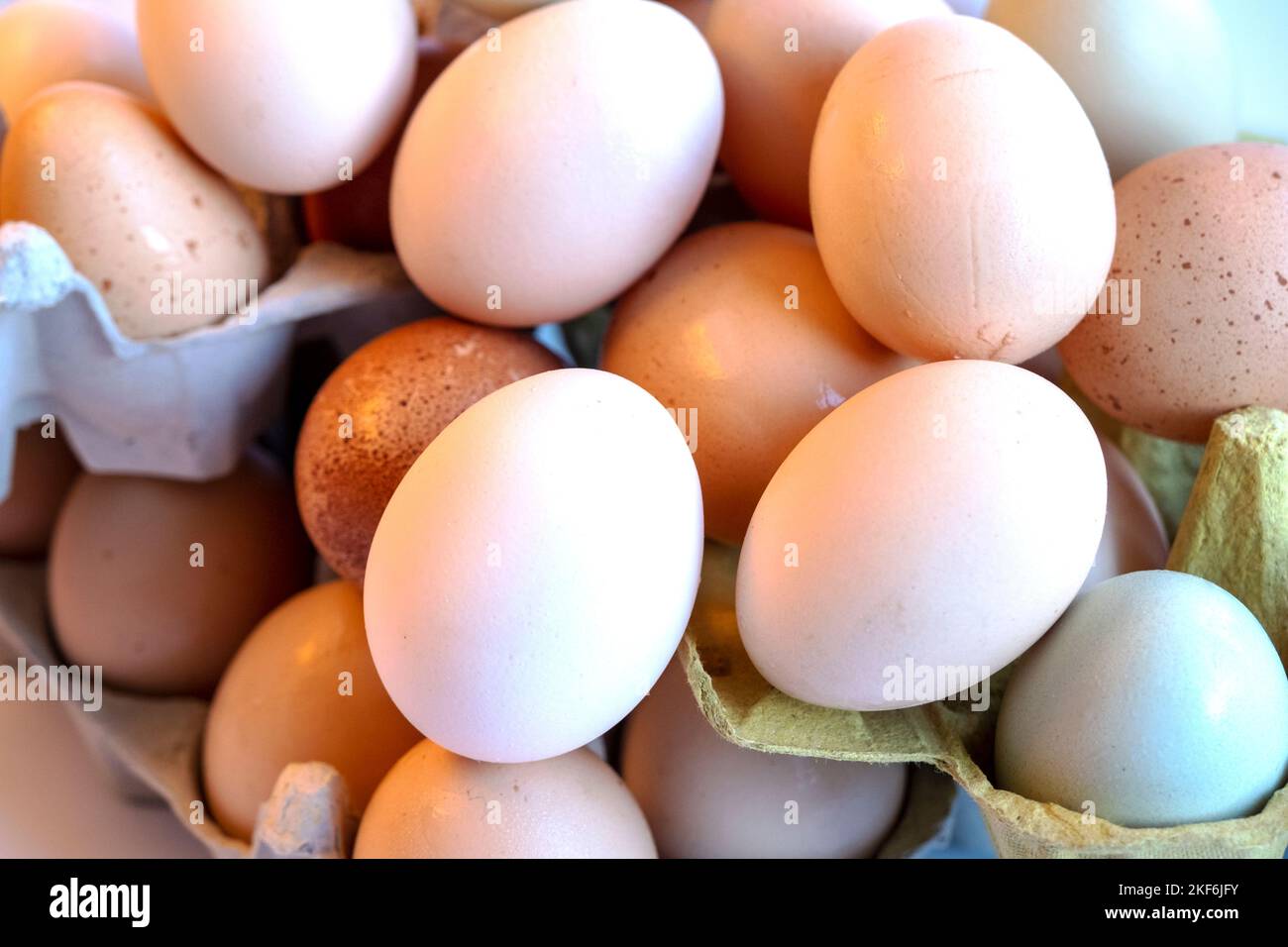 Organic chicken eggs in paper egg box with compartments. Eggs contain