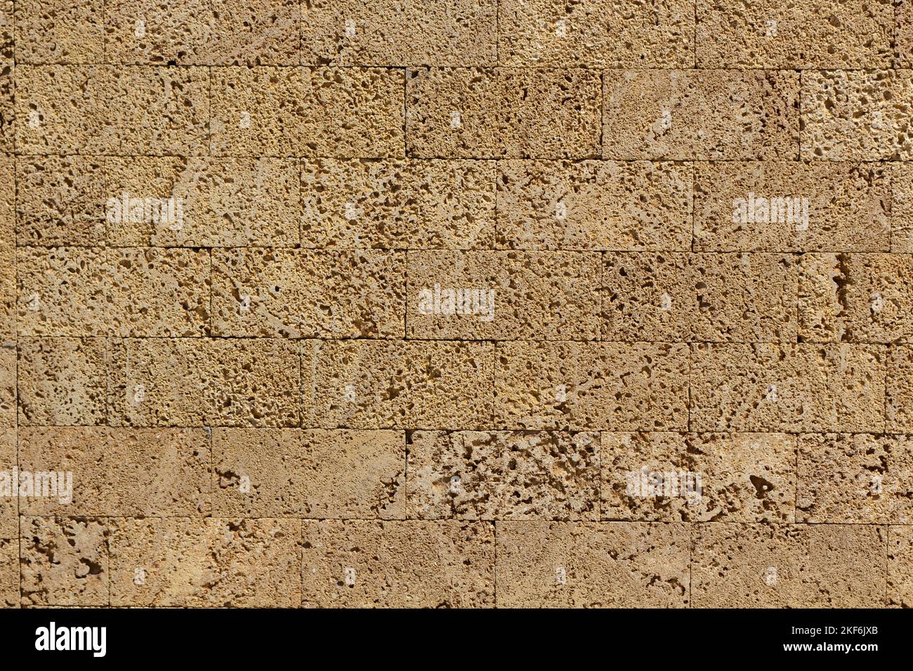 limestone wall texture with seashells. textured background Stock Photo
