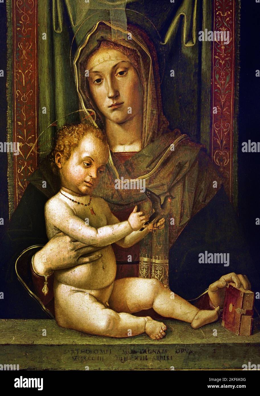 Madonna and Child - Virgin and Child , oil on panel by Bartolomeo Montagna (1449 / 50-1523) Italy, Italian. Stock Photo
