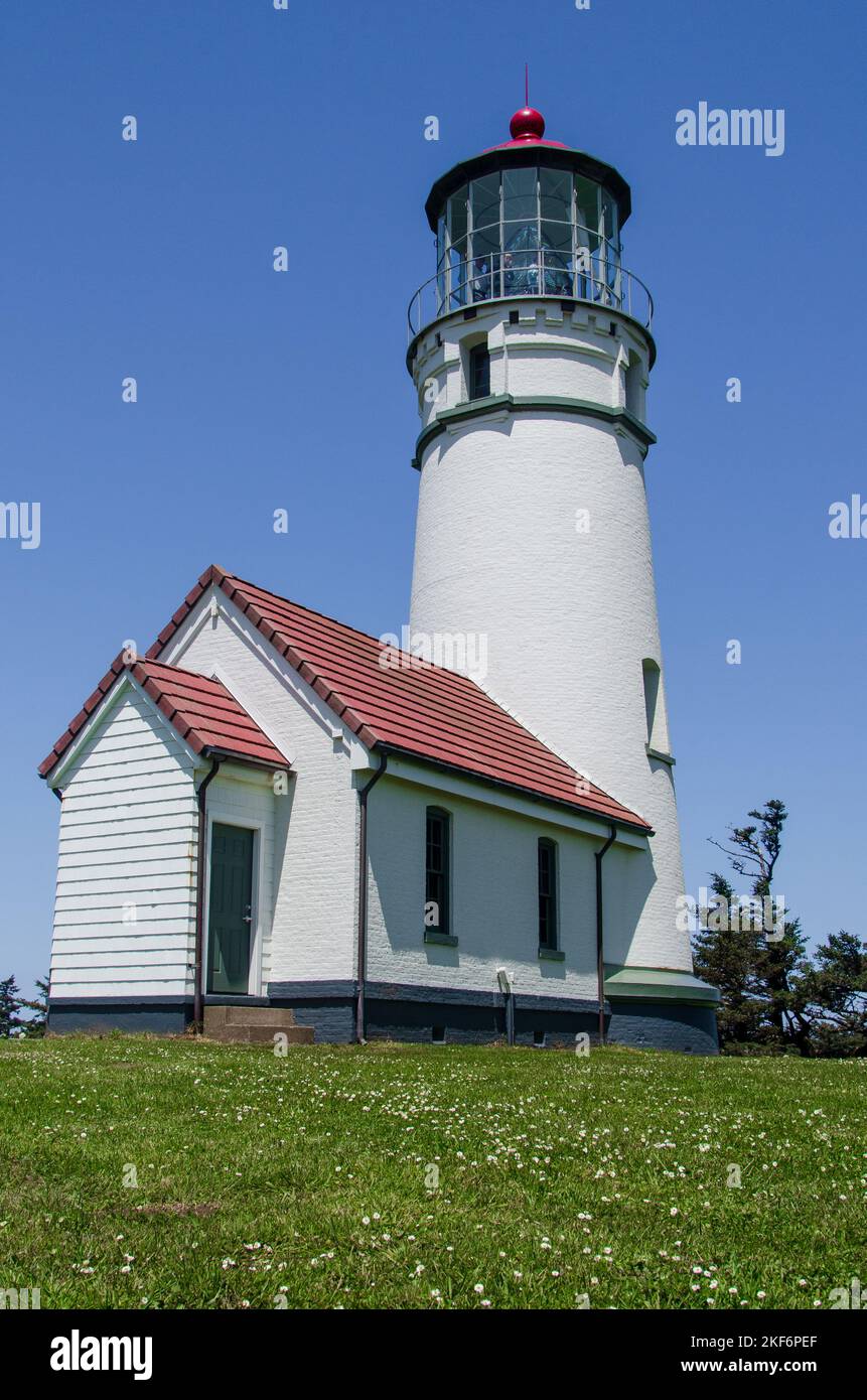Oregon's Cape Blanco: Where the Wild Things Are (and the Views Are Unreal!)