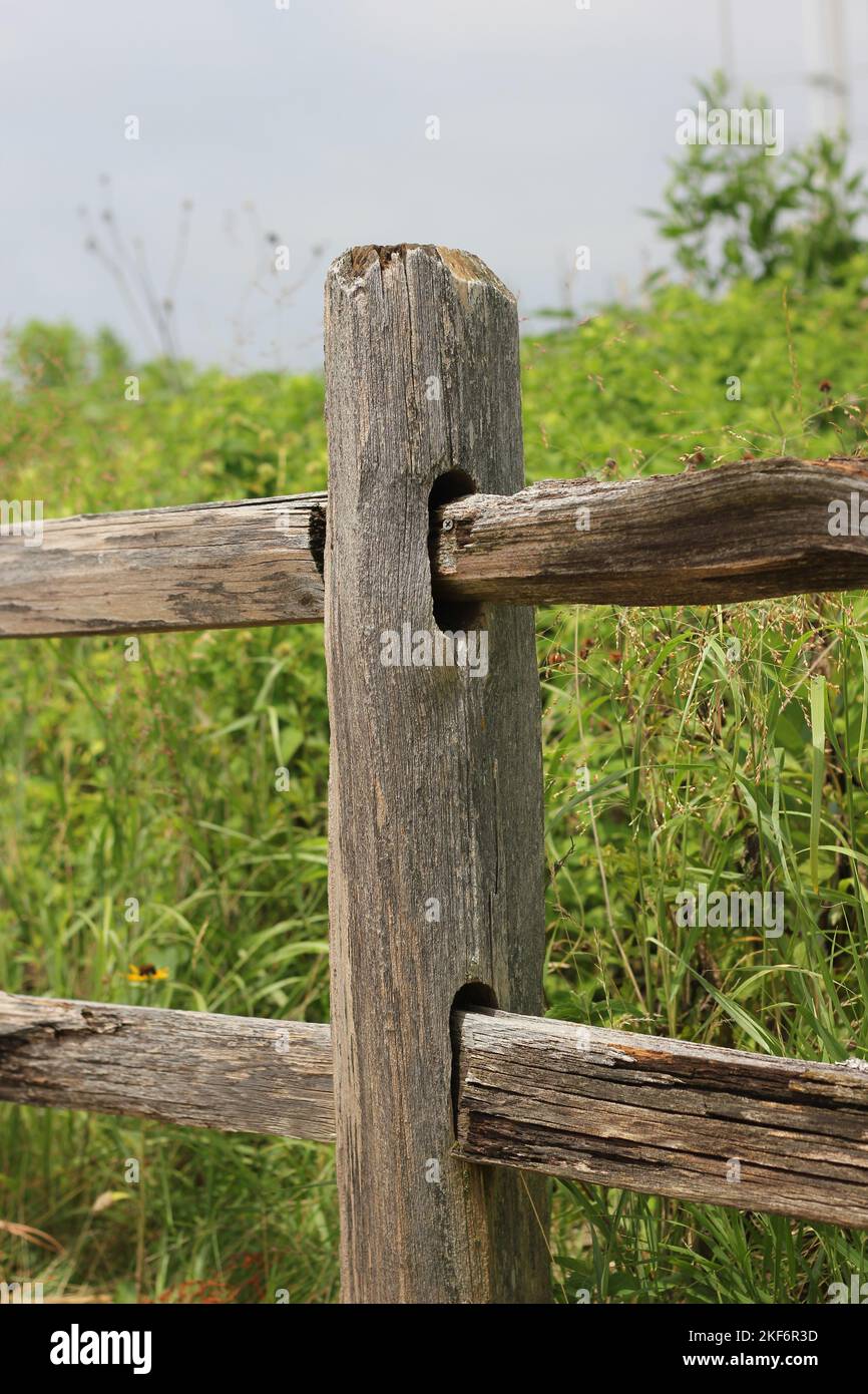 Typical common wooden fence post standing in the fields Stock Photo Alamy