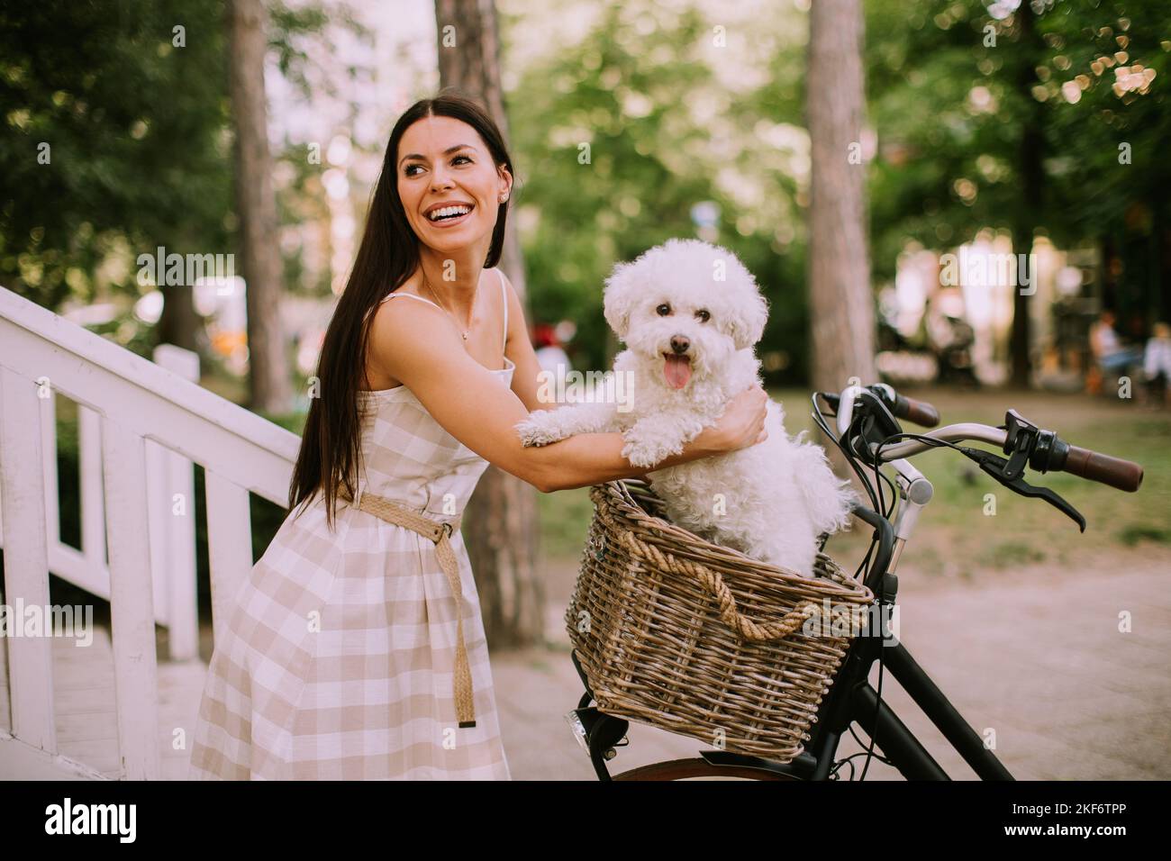 Pretty young woman putting white bichon frise dog in the basket of