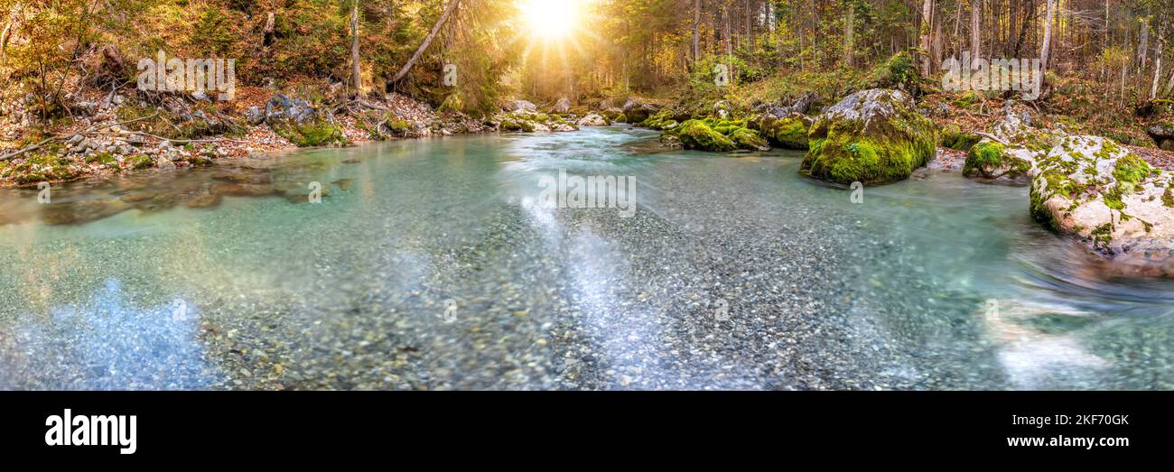 wild river with clear water in beautiful canyon Stock Photo