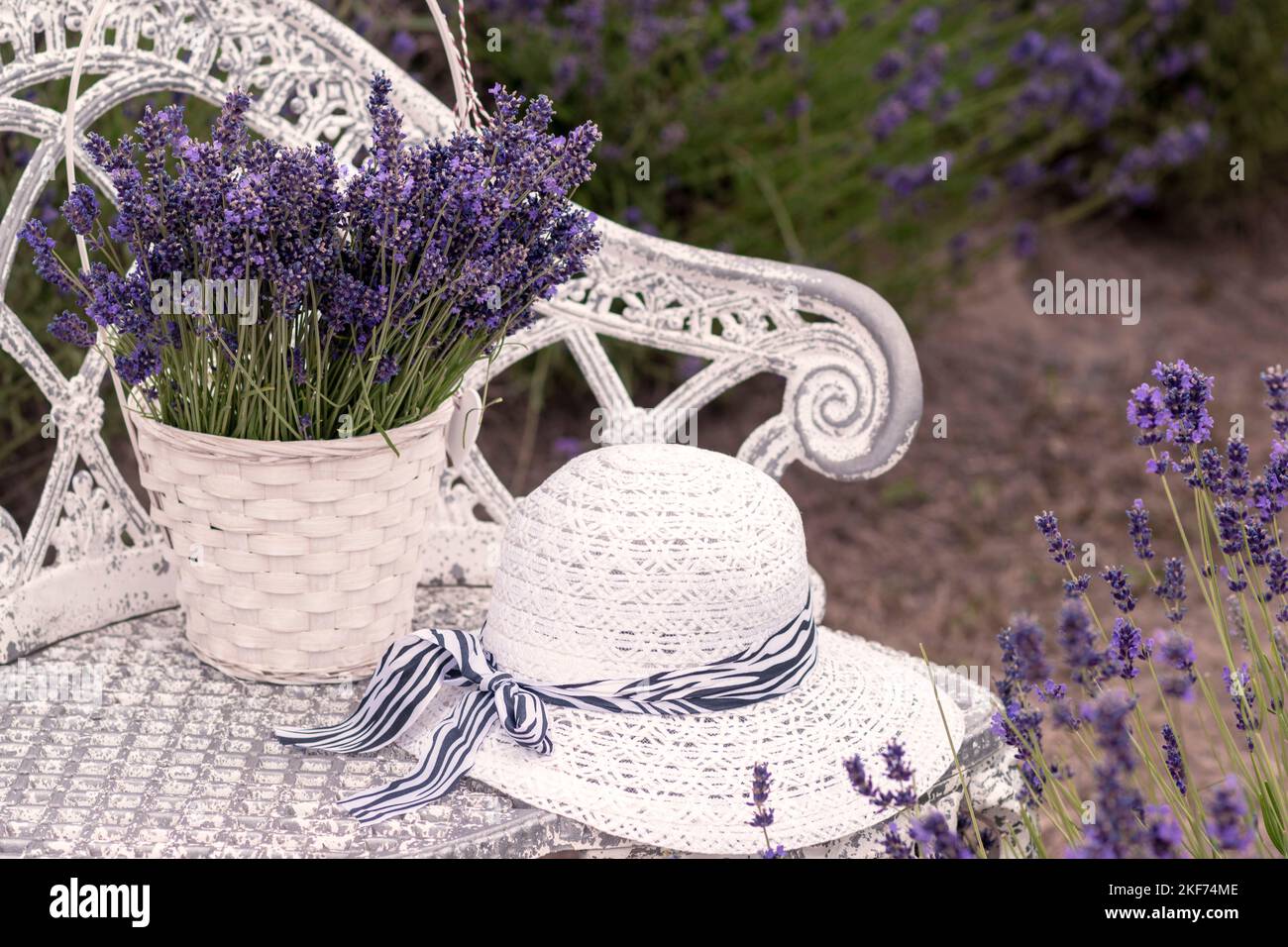 Freshly harvested French lavender bouquet in a basket and a white straw hat on a design vintage table Stock Photo