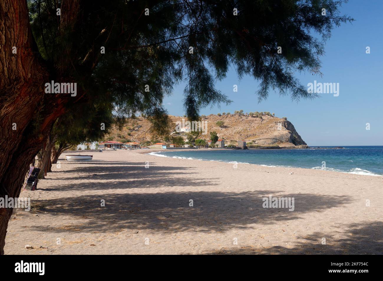 Anaxos beach and tamarisk tree. October 2022. Autumn. Stock Photo