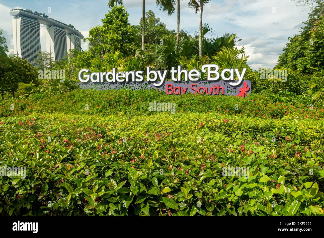Super trees at Gardens by the Bay, Singapore. The tree-like structures are fitted with environmental technologies that mimic the ecological function o Stock Photo