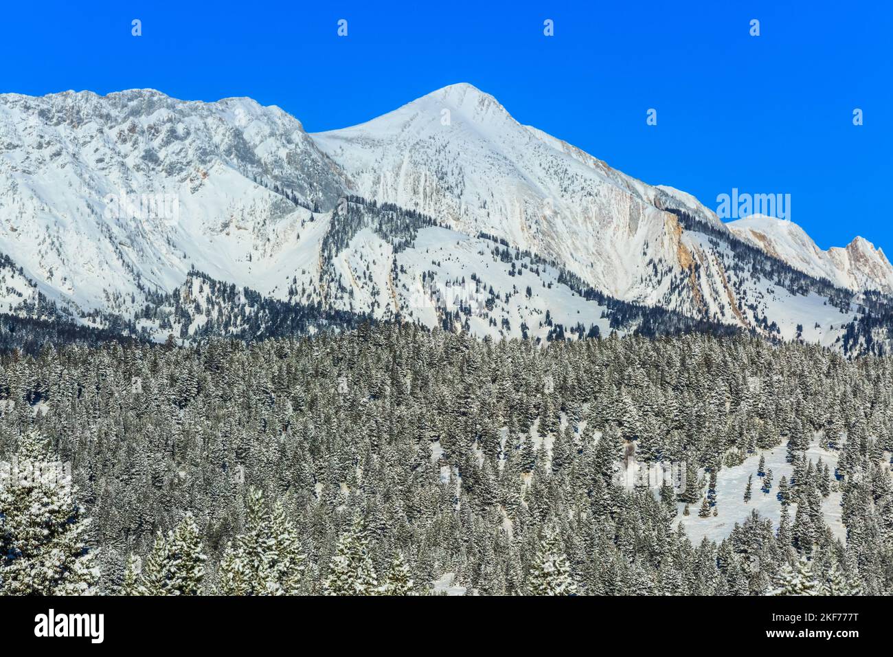 sacagawea peak in the bridger range in winter near bozeman, montana Stock Photo Alamy
