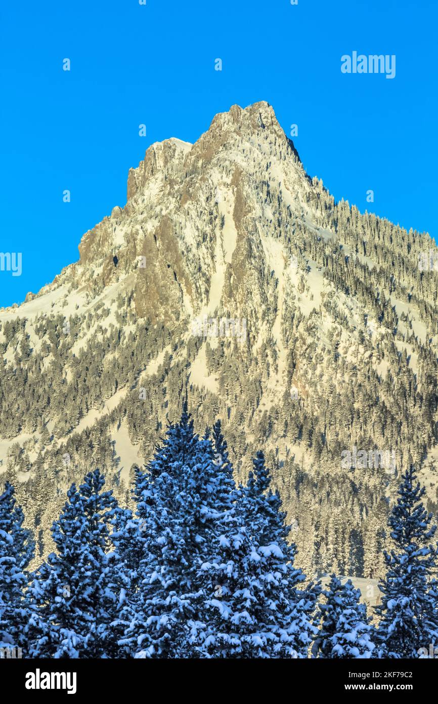 ross peak in the bridger range in winter near bozeman, montana Stock Photo Alamy