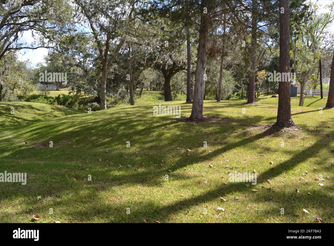 Green gully at historic cane plantation, West Columbia, Texas Stock Photo