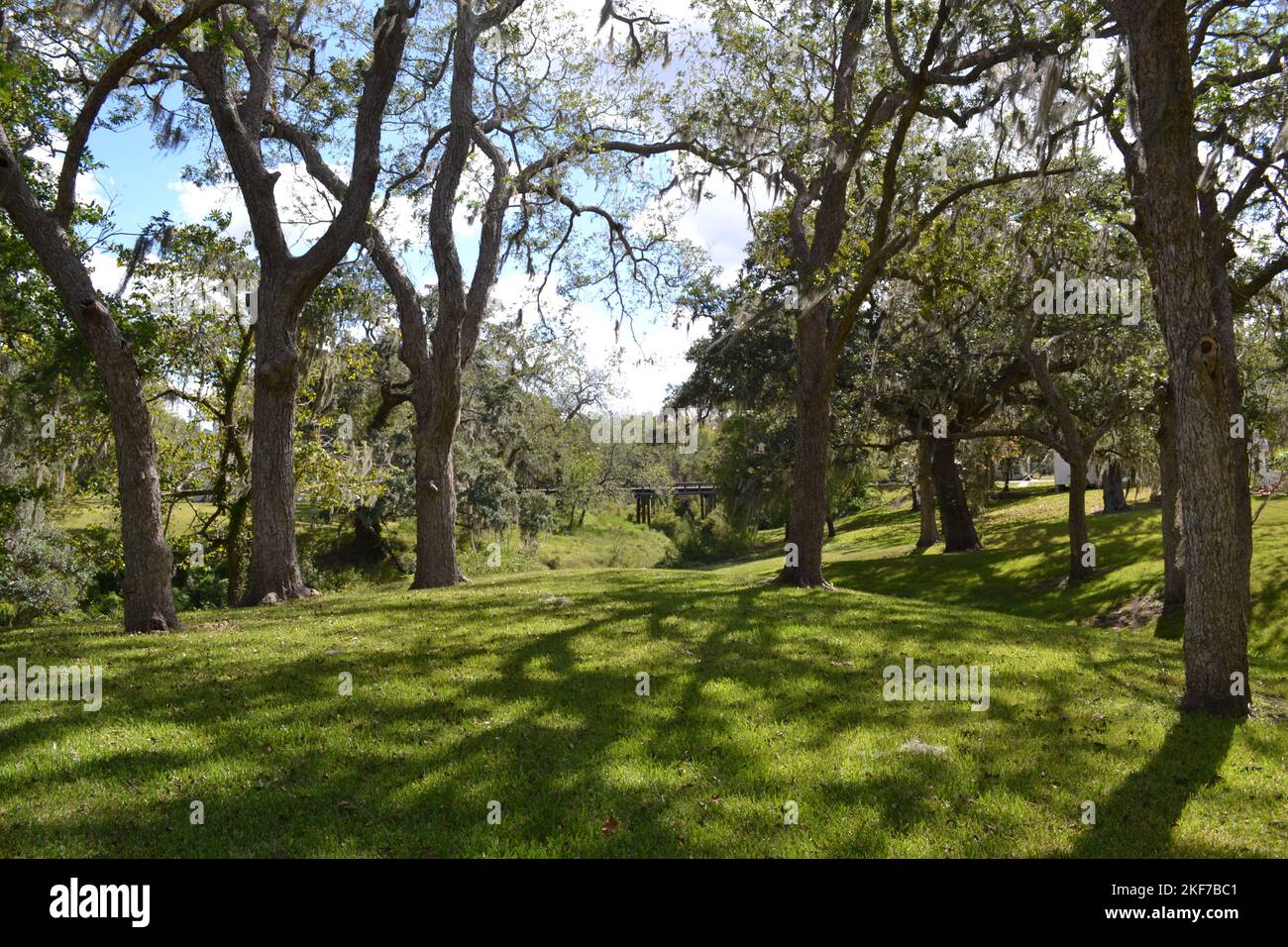 Amazing green garden full of trees in West Columbia, Texas Stock Photo