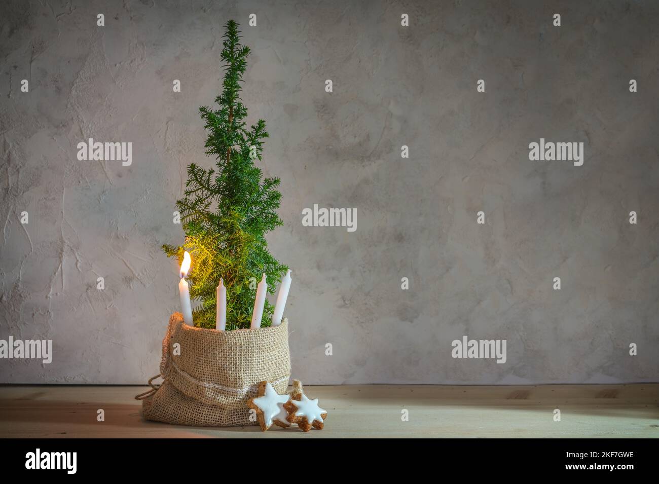Alternative Advent wreath, one candle lit with a flame on a small conifer plant as Christmas tree symbol, large copy space Stock Photo