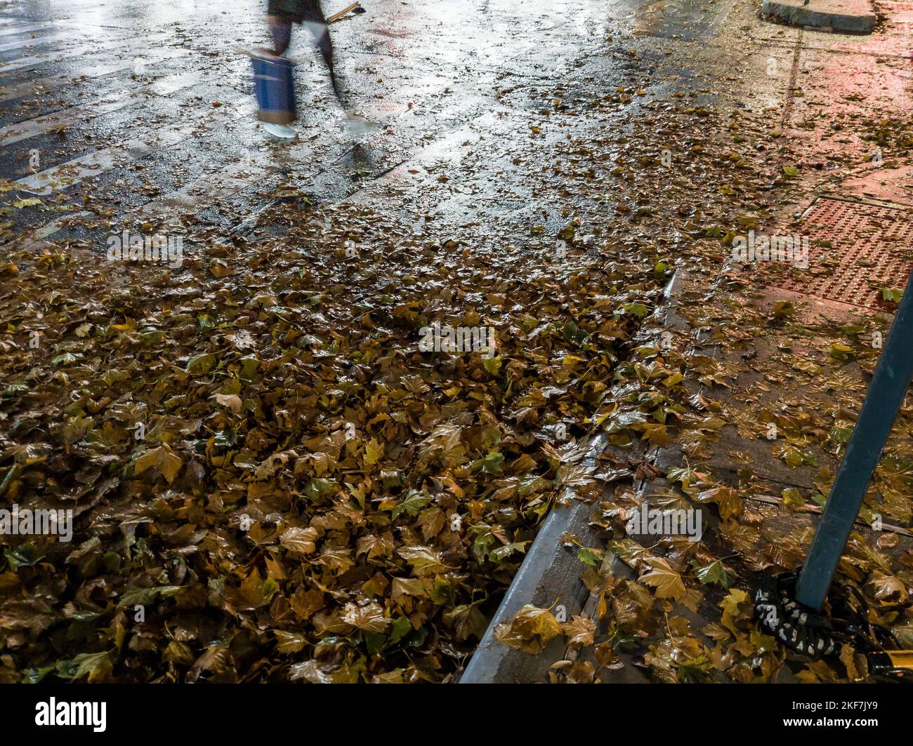 Autumn leaves litter the streets after the remains of Hurricane Nicole passes through New York in Chelsea, on Friday, November 11, 2022. The city is making an effort to clean catch basins and storm drains to prevent localized flooding. (© Richard B. Levine) Stock Photo