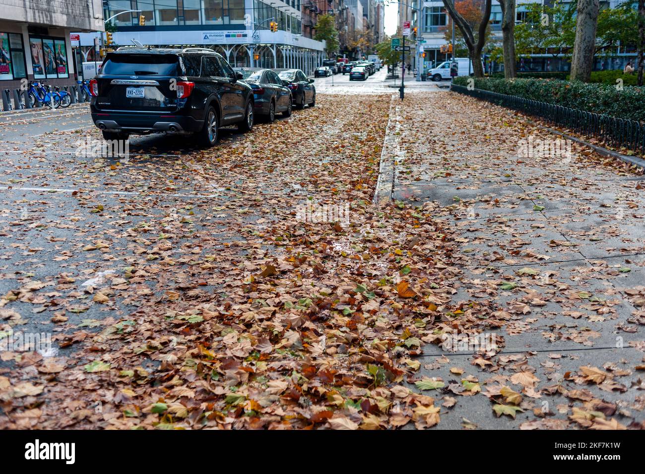 Autumn leaves litter the streets after the remains of Hurricane Nicole passes through New York in Chelsea, on Saturday, November 12, 2022. The city is making an effort to clean catch basins and storm drains to prevent localized flooding. (© Richard B. Levine) Stock Photo