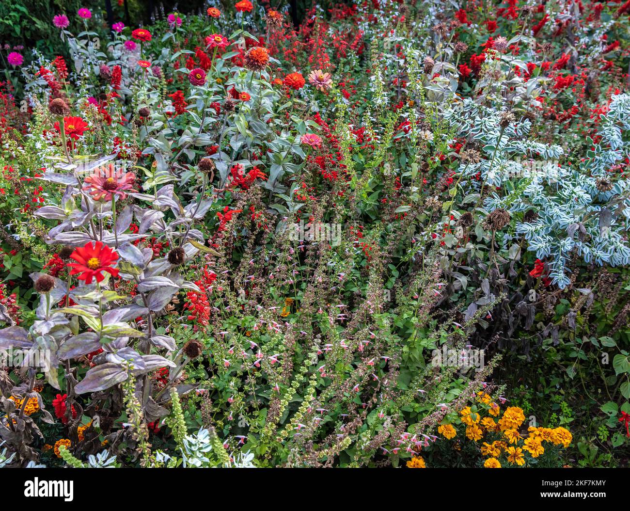 Flowers and plants in Alhambra garden, Granada, Spain. Stock Photo