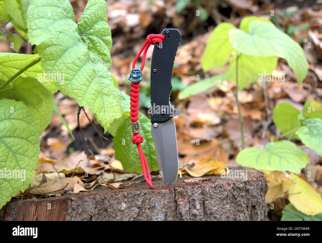 Folding knife cutting stainless steel blade black handle red lanyard blue bead green yellow leaves brown wood macro background Stock Photo