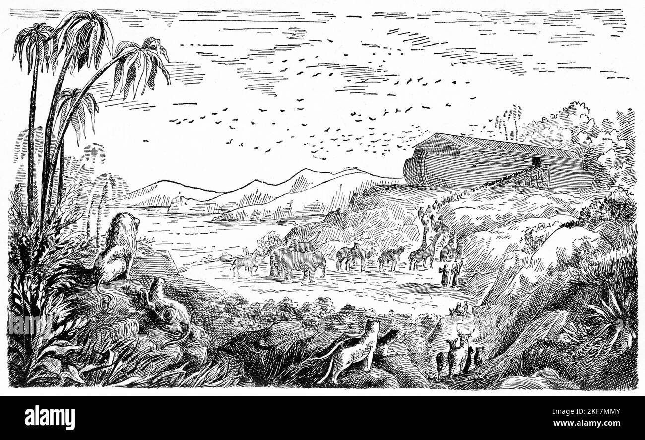 Engraving of animals entering Noah's Ark to avoid God's judgment of a global flood Stock Photo