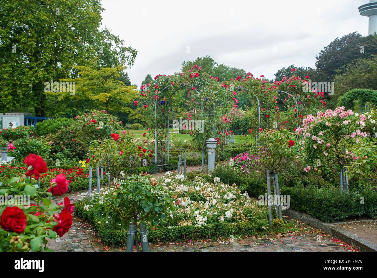 Beautiful circular garden with an abundance of roses (climbing roses ...