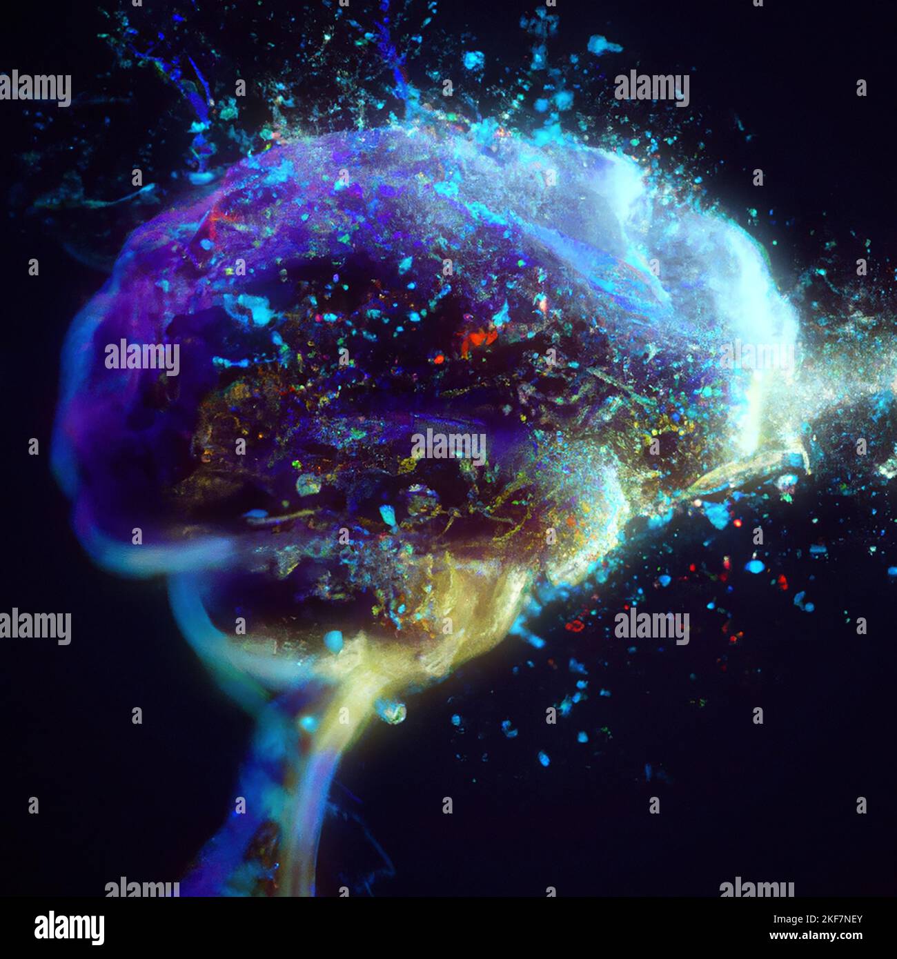 Brain seen in profile, exploded. Explosion, fragments and parts of the ...