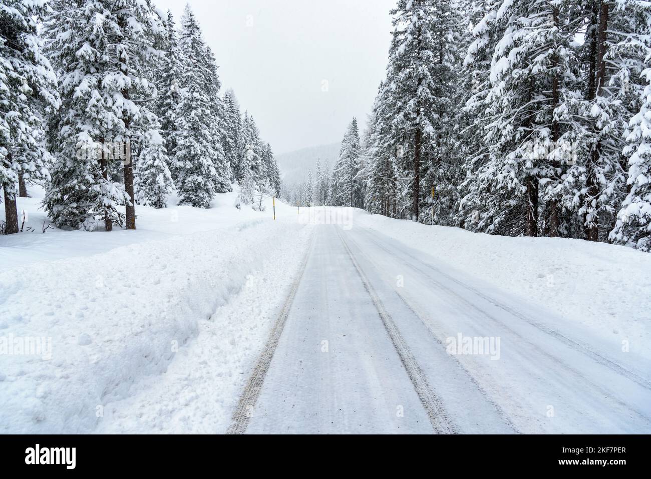 Deserted mountain road through a snowy forest during a heavy snowfall in winter Stock Photo
