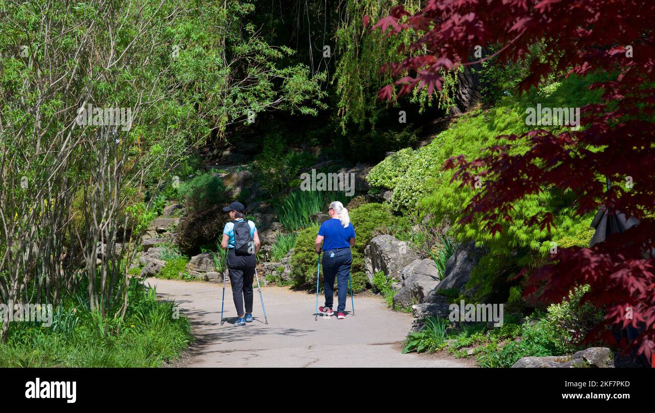 Toronto, Ontario / Canada - 05/15/2022: Two women walking in the public park with walking trekking poles Stock Photo