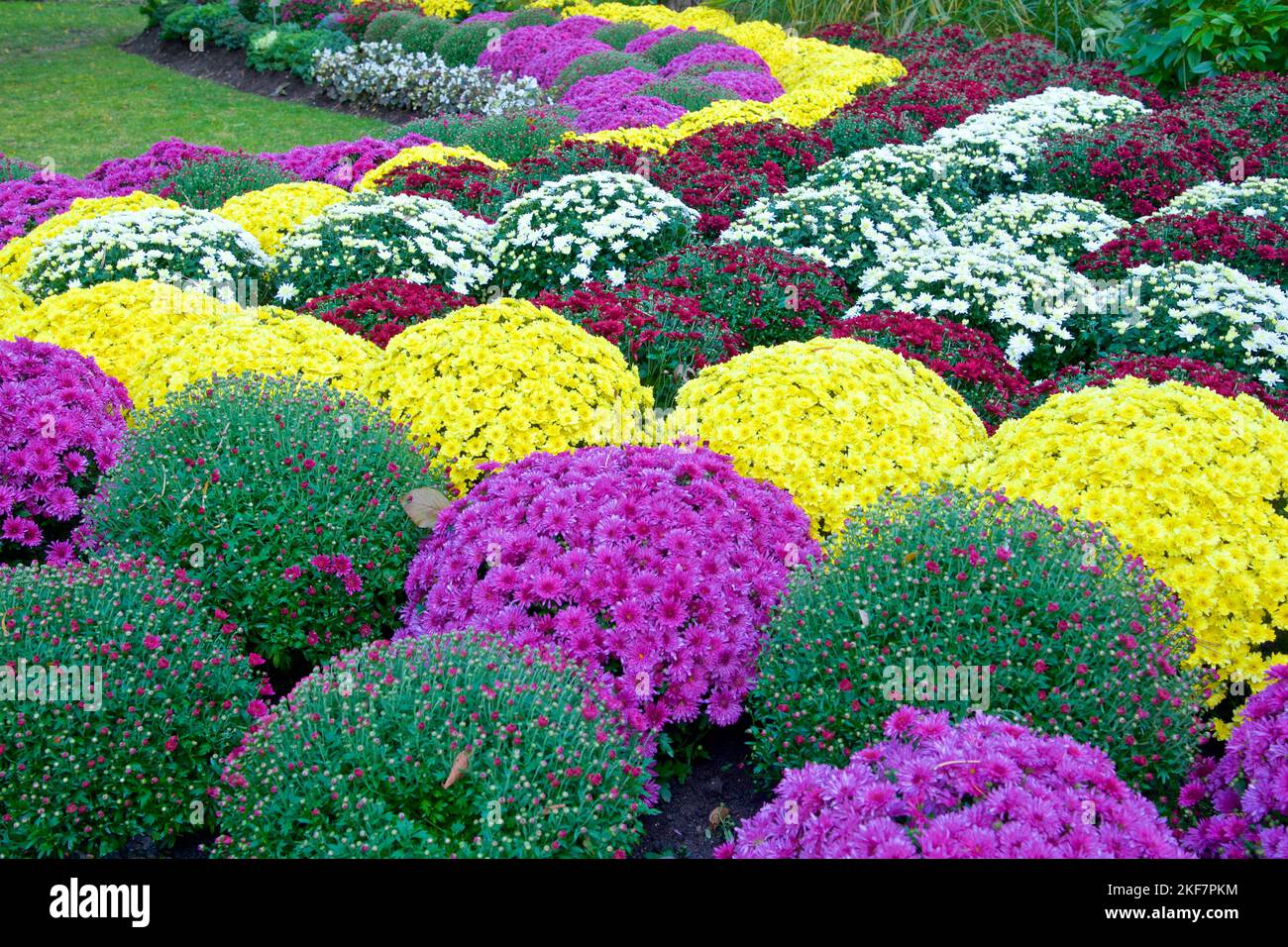 Mums in the public park in autumn Stock Photo Alamy