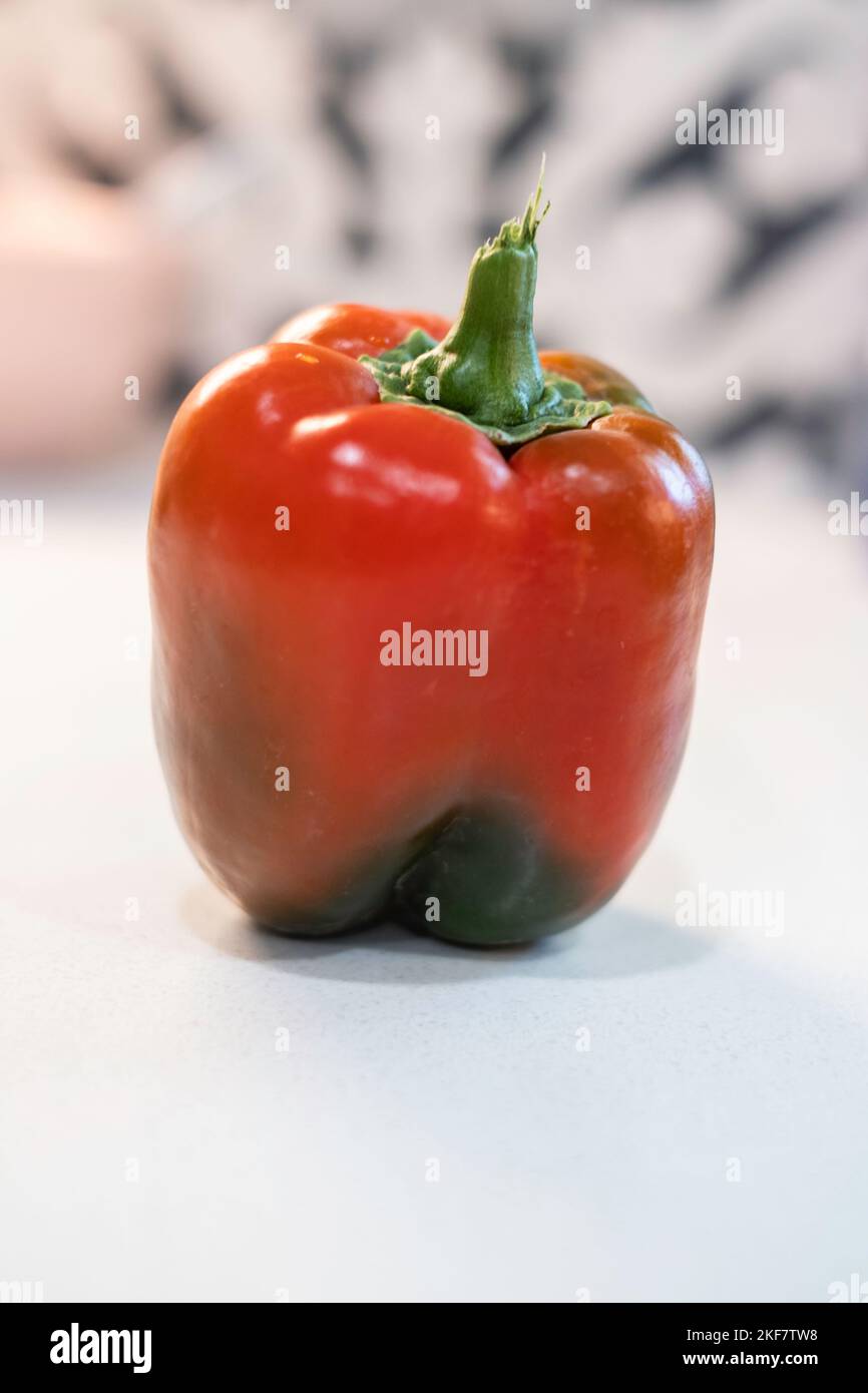 A single red bell pepper, Capsicum annuum, on a white background. Stock Photo