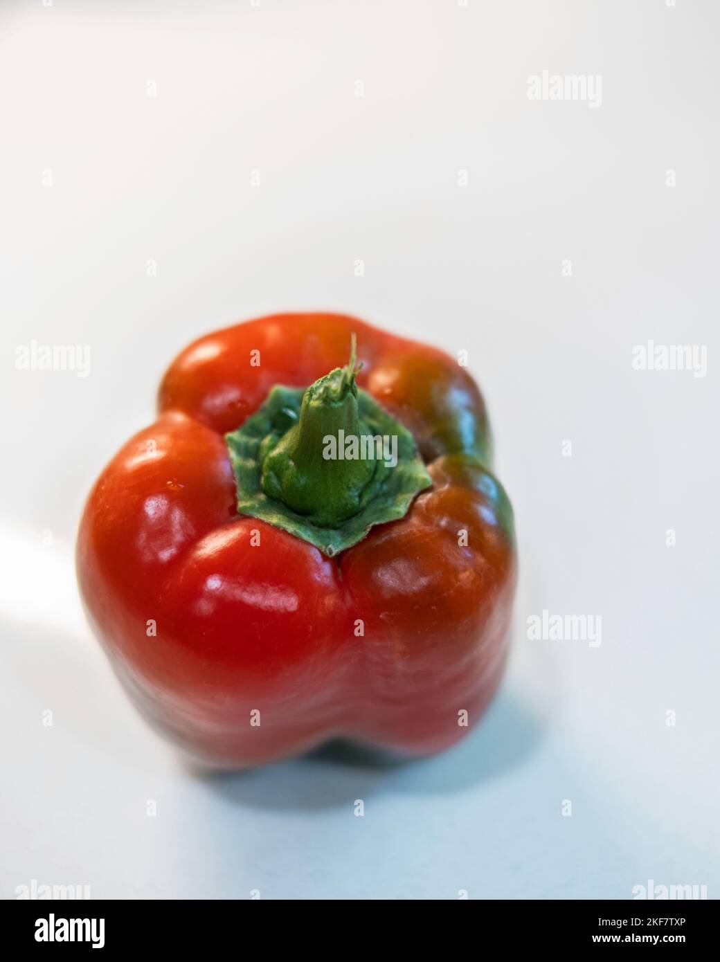 A single red bell pepper, Capsicum annuum, on a white background. Stock Photo