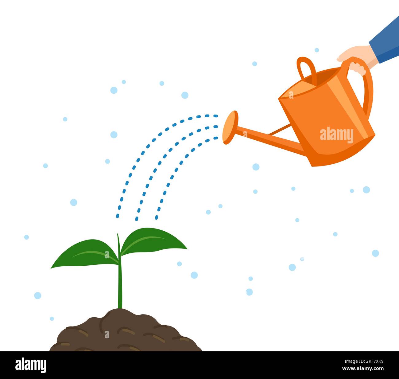 Hand holds a watering can and waters a flower sprout Stock Vector Image