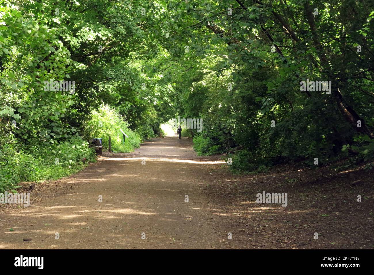 view along repurposed railway line  Parkland Walk, Haringey, North London, Uk                        May Stock Photo