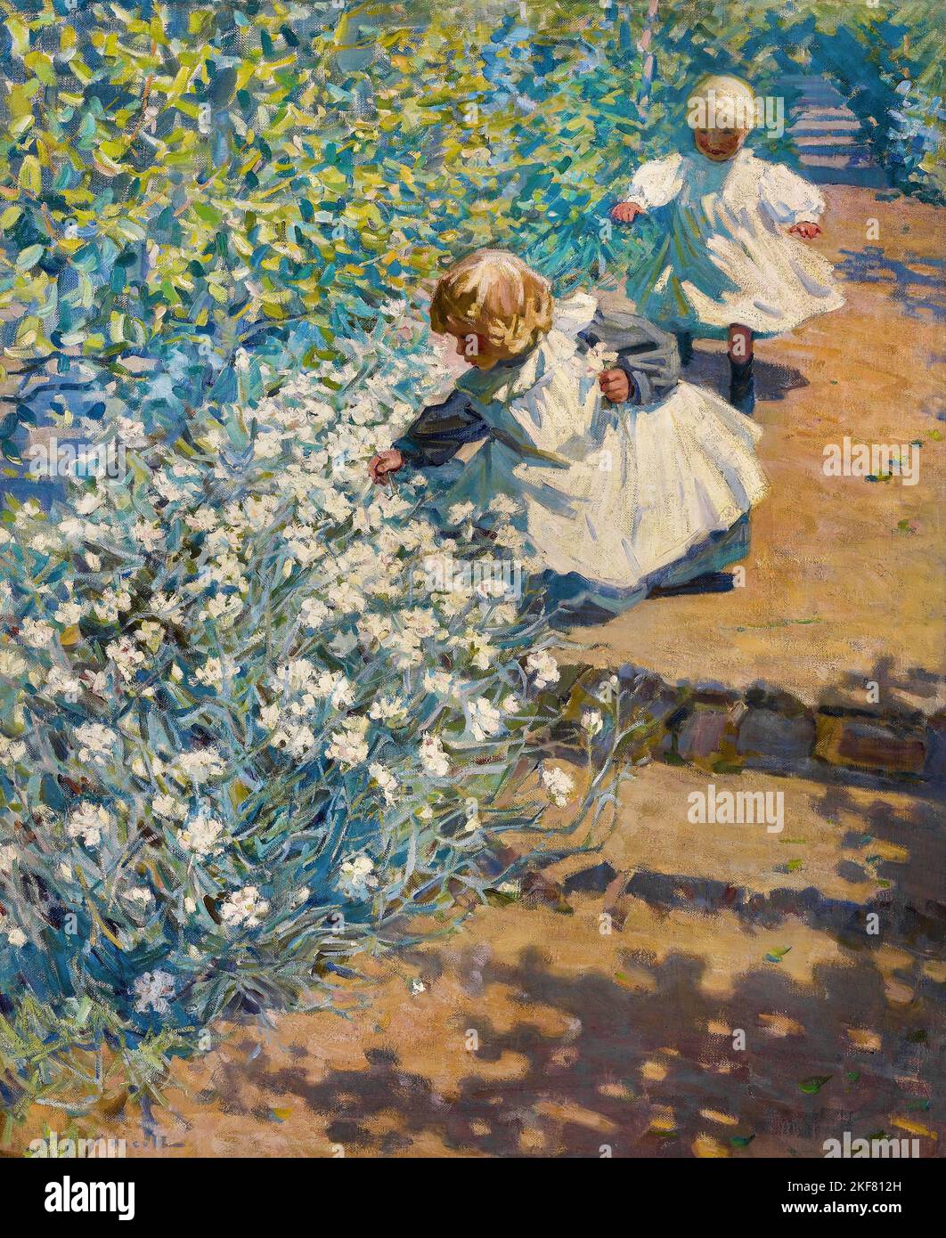 Helen McNicoll; Picking Flowers; Circa 1907-1917; Oil on canvas; Art Gallery of Ontario, Toronto, Canada. Stock Photo