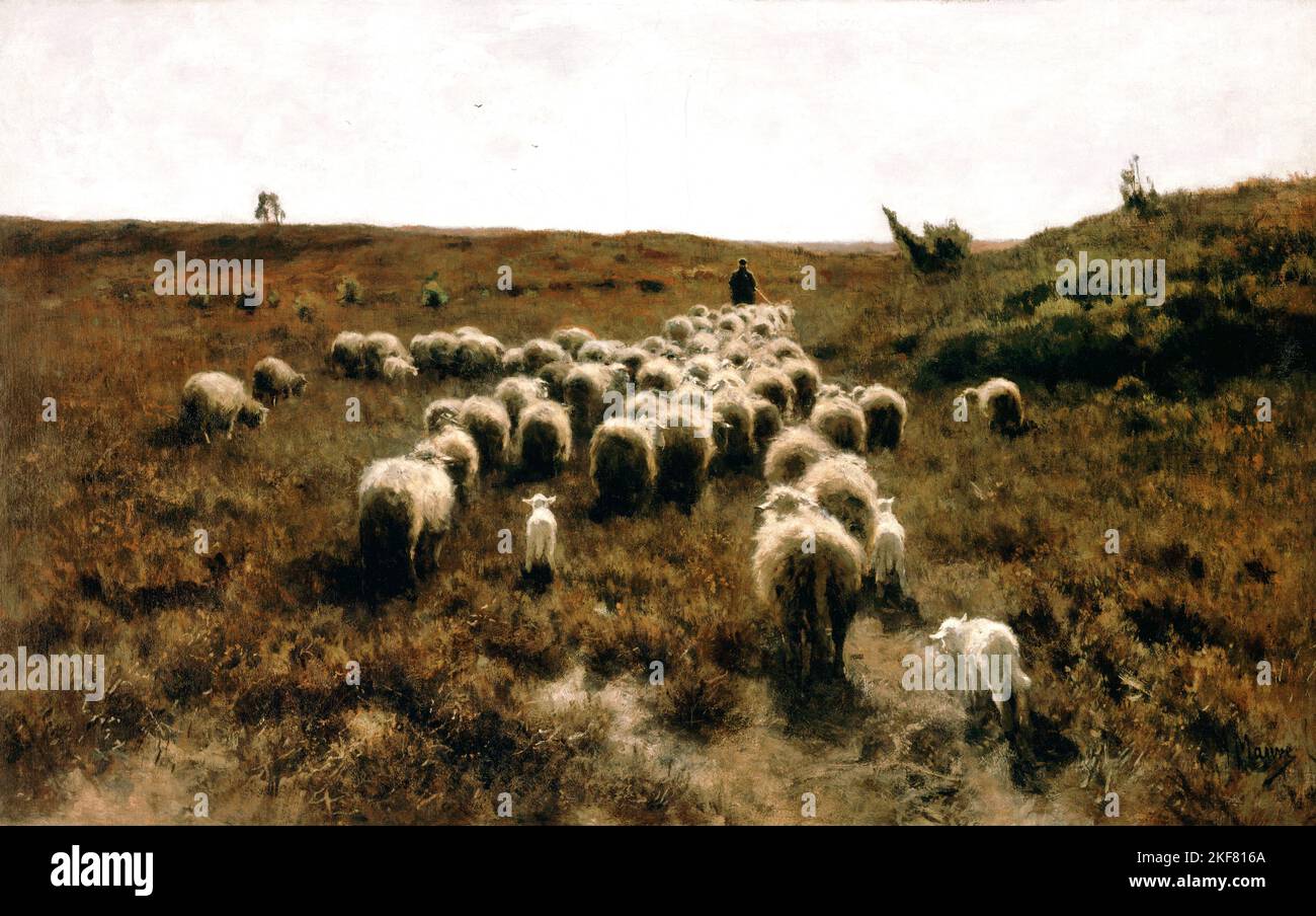 Anton Mauve; The Return of the Flock, Laren; Circa 1886-1887; Oil on canvas; Philadelphia Museum of Art, USA. Stock Photo