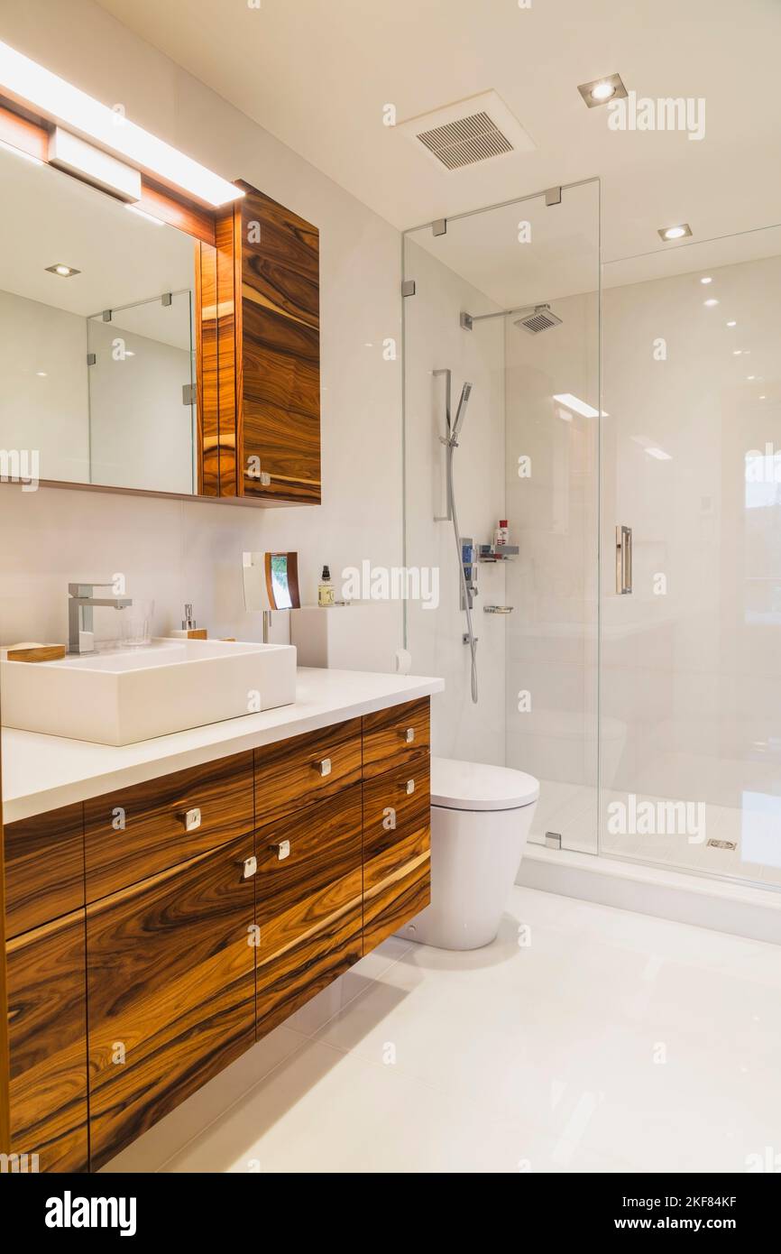 En suite with clear glass shower stall and rosewood vanity with quartz