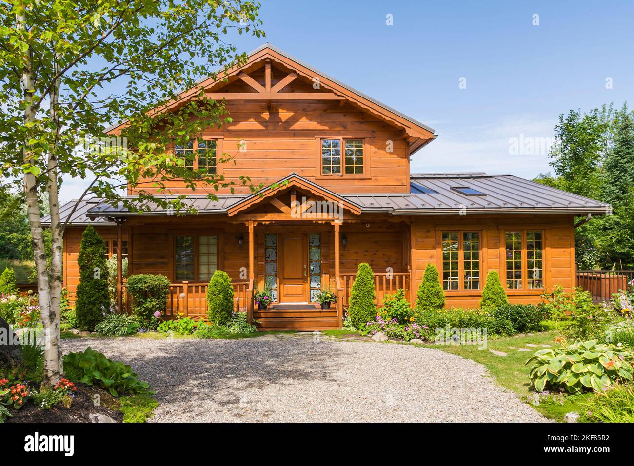 Golden-brown stained piece sur piece Eastern white pine log and timber home facade with tan gravel driveway and Thuya occidentalis - Cedar trees. Stock Photo