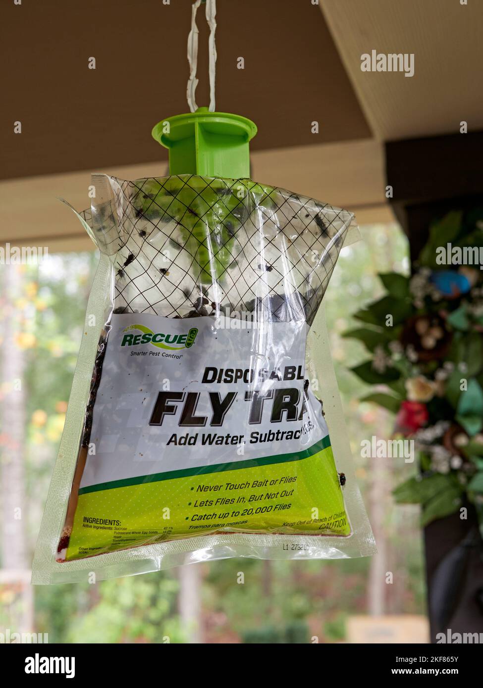Mess free hanging fly trap bag outdoors on a home patio with trapped flies, a means of pest control, in Montgomery Alabama, USA. Stock Photo