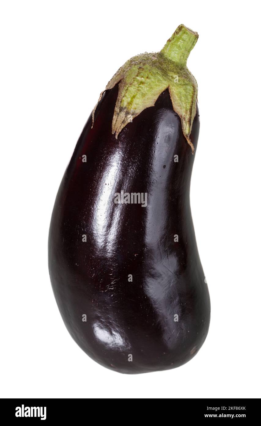 Eggplant, Aubergine (Solanum melongena) Stock Photo