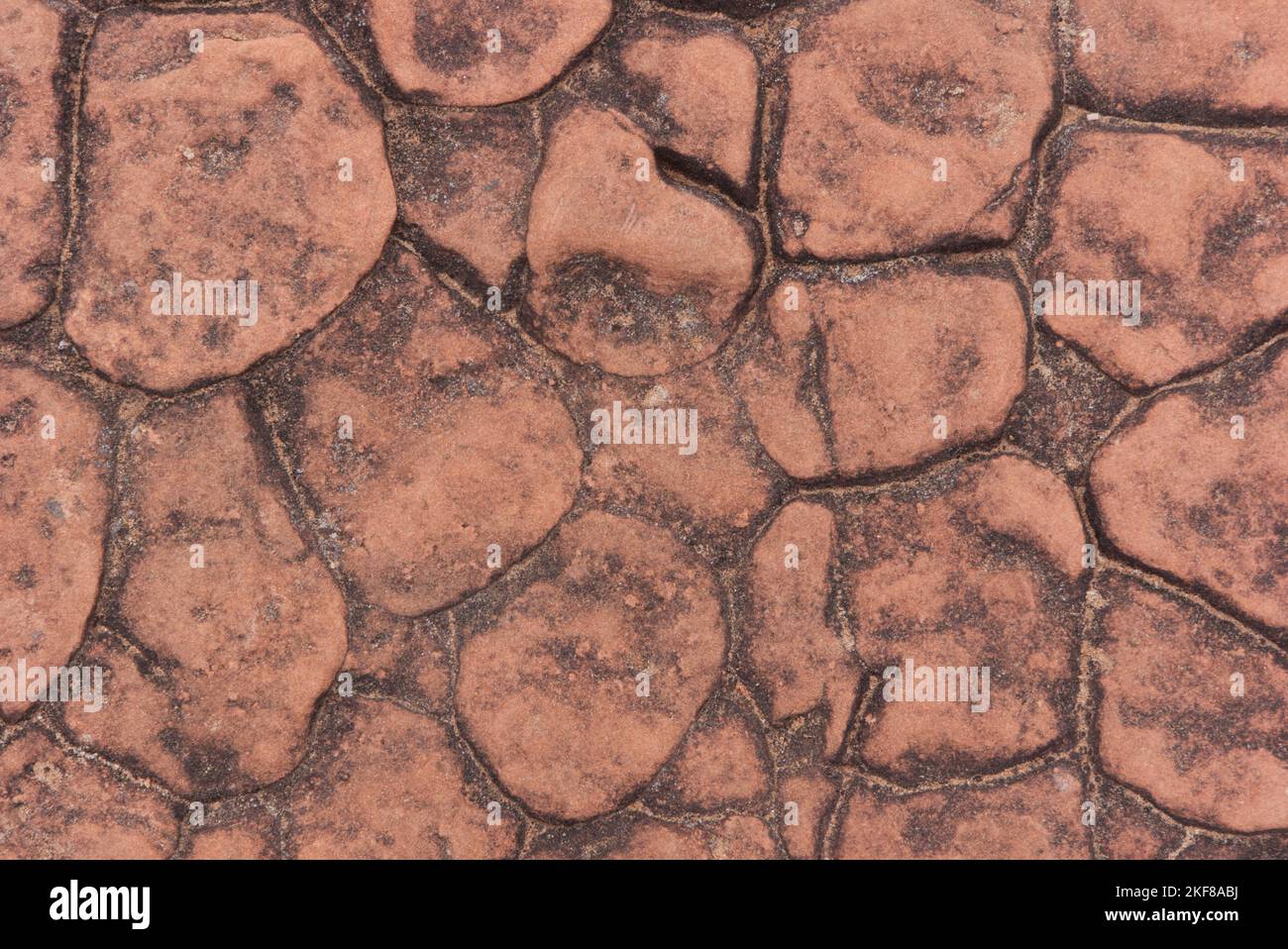 A red brown rock pattern with a rough abstract texture. Stock Photo