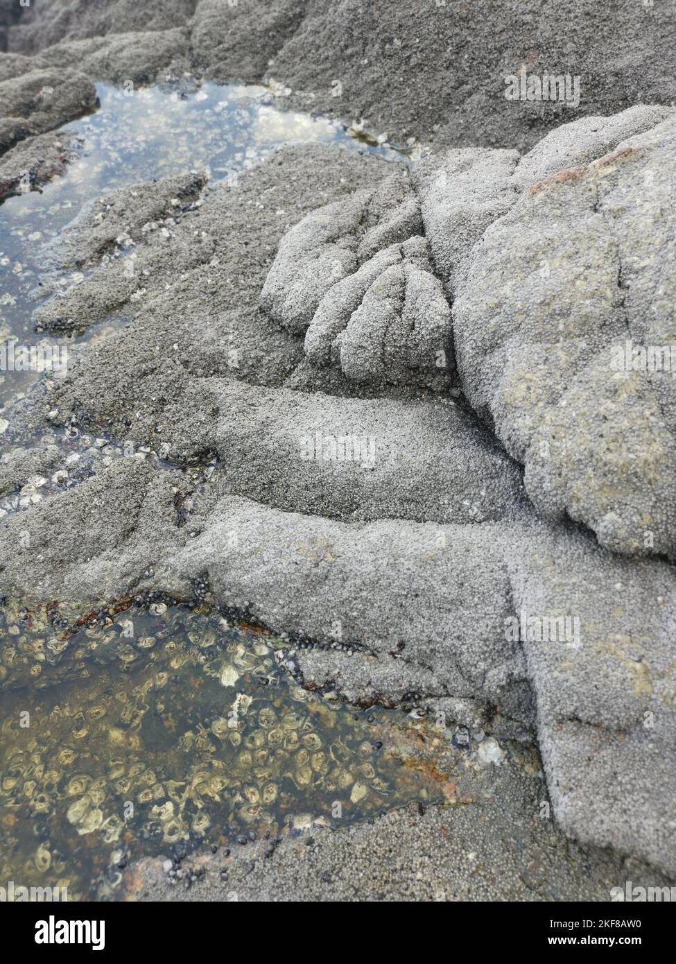 Big Rocks Many Many big rocks at the seashore hi-res stock photography and images - Alamy