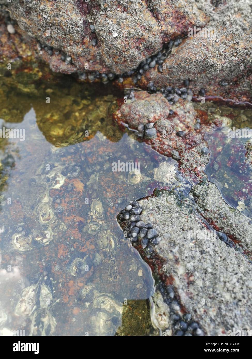 Big Rocks Many Many big rocks at the seashore hi-res stock photography and images - Alamy