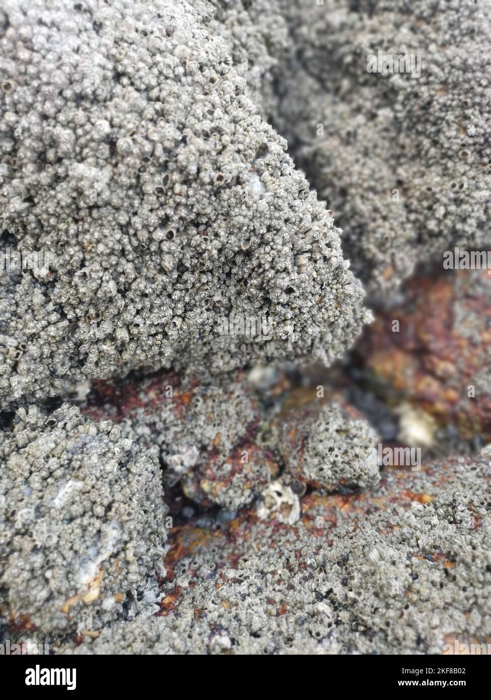 Big Rocks Many Many big rocks at the seashore hi-res stock photography and images - Alamy