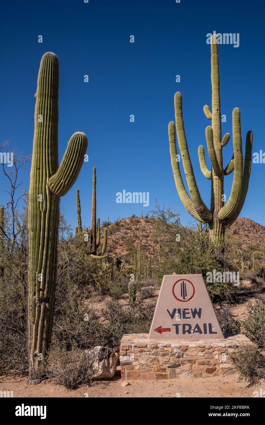 Saguaro NP, USA - April 3, 2022: The View Trailhead Stock Photo